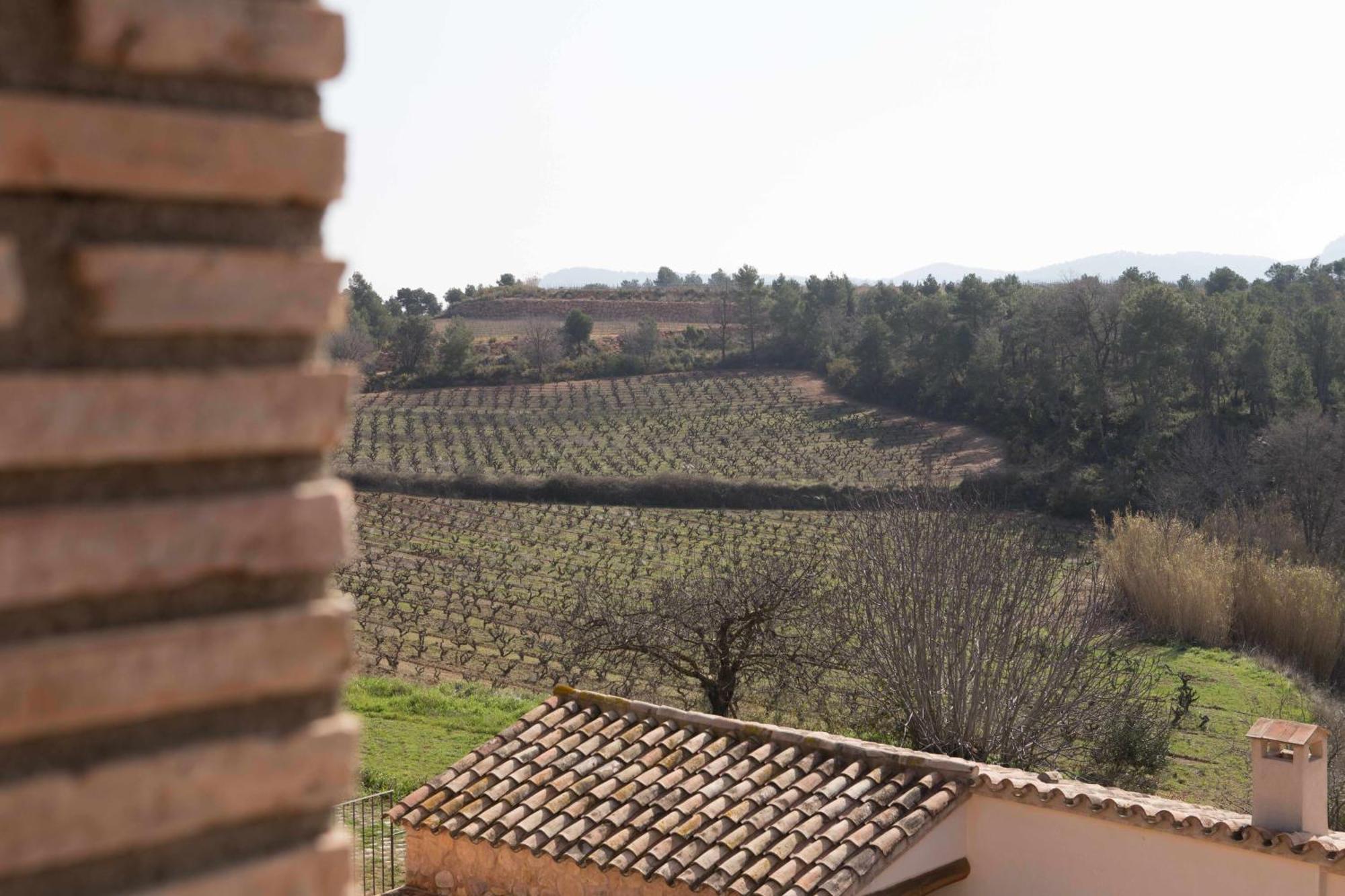Masia Les Apieres El Pla de Manlleu Exterior foto
